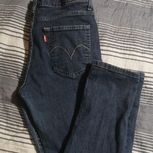 Levi's Navy Straight Leg Denim Pants